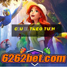 cầu đề theo tuần