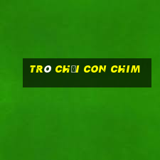 trò chơi con chim