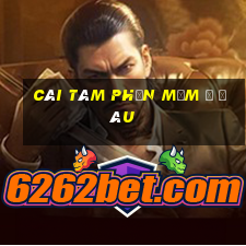 Cái tám phần mềm ở đâu