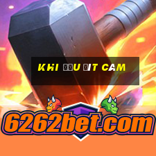 khi đầu đít câm