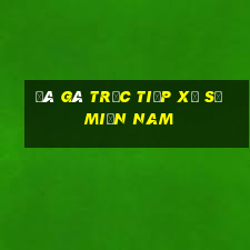 đá gà trực tiếp xổ số miền nam