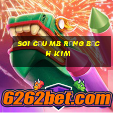 soi cầu mb rồng bạch kim