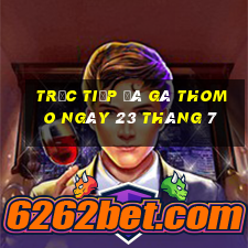 trực tiếp đá gà thomo ngày 23 tháng 7