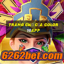 Trang chủ của Color 16app