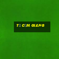 từ cẩm giang