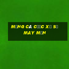 Mạng cá cược xổ số may mắn