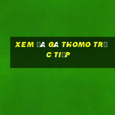 xem đá gà thomo trực tiếp