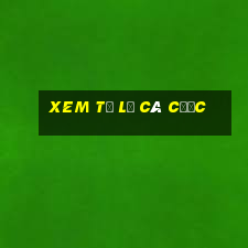 xem tỷ lệ cá cược