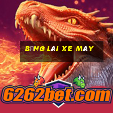 bằng lái xe máy