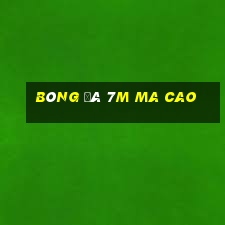 bóng đá 7m ma cao