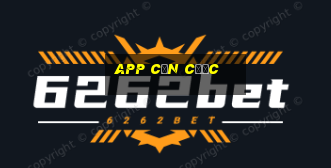 app căn cước