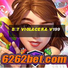 bệt viglacera v199