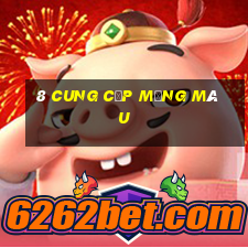 8 cung cấp mạng màu