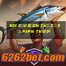 soi cầu bạch thủ xổ số ninh thuận