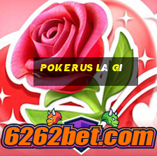 pokerus là gì