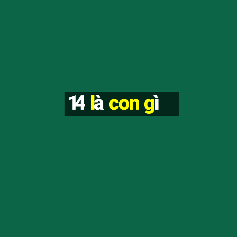 14 là con gì