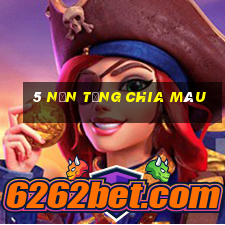 5 nền tảng chia màu