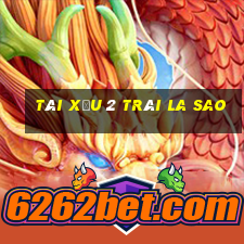 tài xỉu 2 trái la sao