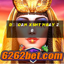 Dự đoán XSNT ngày 20