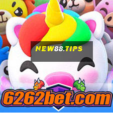 new88.tips