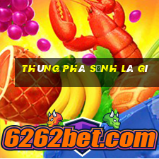 thùng phá sảnh là gì