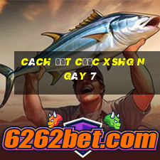 Cách đặt cược XSHG ngày 7