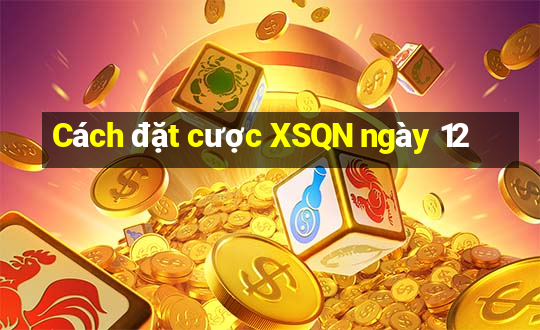 Cách đặt cược XSQN ngày 12