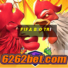 fifa bảo trì