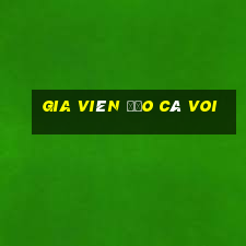 gia viên đảo cá voi