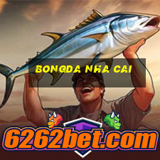 bongda nha cai