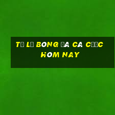 tỷ lệ bóng đá cá cược hôm nay