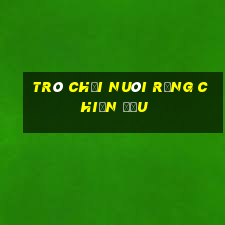 trò chơi nuôi rồng chiến đấu