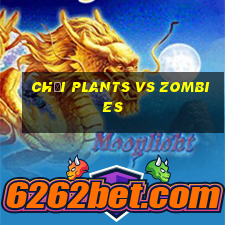 chơi plants vs zombies