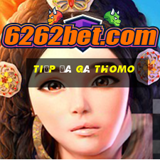 tiếp đá gà thomo