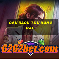 cau bach thu dong nai