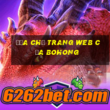 Địa chỉ trang web của Bohong