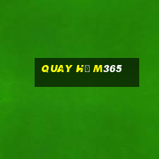 quay hũ m365