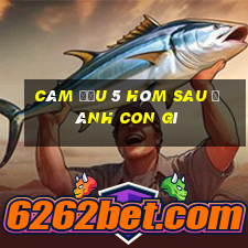 câm đầu 5 hôm sau đánh con gì