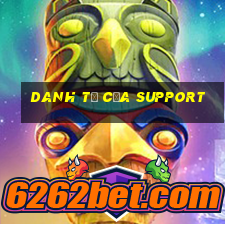 danh từ của support