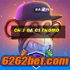 chọi gà c1 thomo