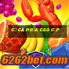 cờ cá ngựa cao cấp