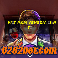 Việt nam Venezia Điện tử