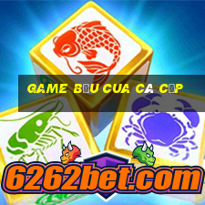 game bầu cua cá cọp