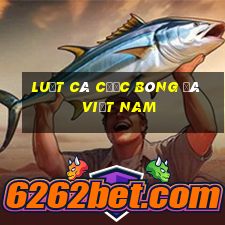 Luật cá cược bóng đá Việt Nam