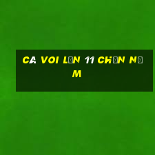 Cá Voi Lớn 11 Chọn Năm