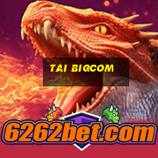 tai bigcom