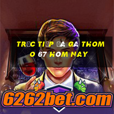 trực tiếp đá gà thomo 67 hôm nay