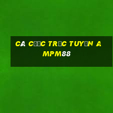 Cá cược trực tuyến ampm88