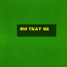 mo thay ga