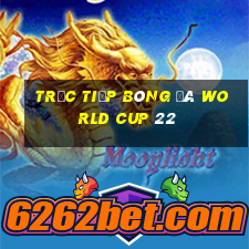 trực tiếp bóng đá world cup 22